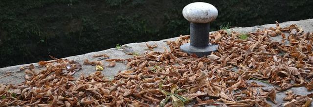 La photo du weekend : L'automne