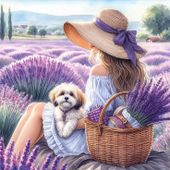 Lavande - Dessins/Images coup de coeur