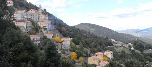 Mon village et la minette