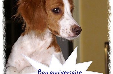 Bon anniversaire à Mr Luby