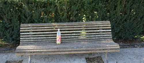 sur le banc