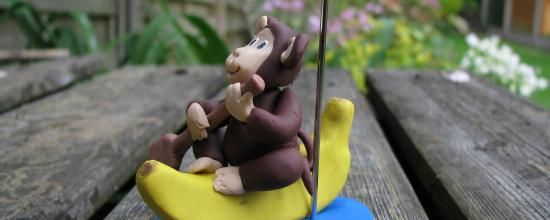 Des singes pagayeurs