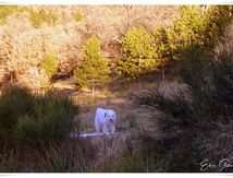 Mon environnement