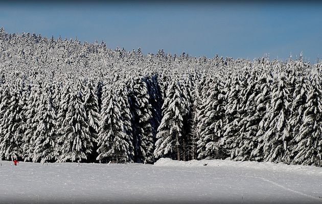 Balade en neige sauvage: 1