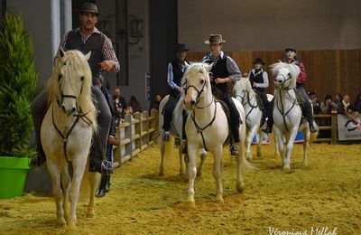 Salon International de l'Agriculture 2015 : Le Camarguais