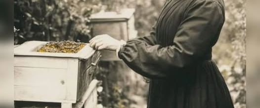 Il fallait prévenir les abeilles