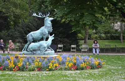 Jardin du Luxembourg : Harde de cerfs de Arthur-Jacques Leduc