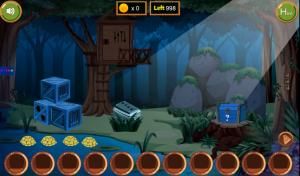 8B Jungle tortoise escape soluce