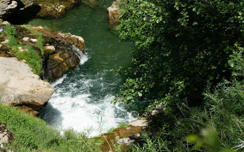 OC 2021 : Le cirque et la Vis...  (Suite et fin)