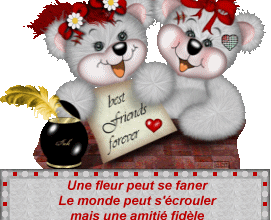 REPRISE BLOG - ANNEE 2017