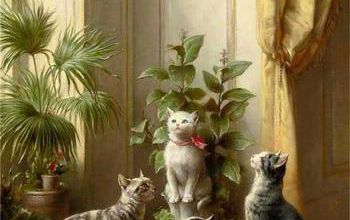 Tableau du samedi 65 : Chats et cacatoès