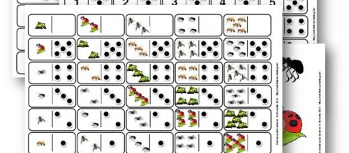 GS - Découvrir le monde - numération - dominos insectes