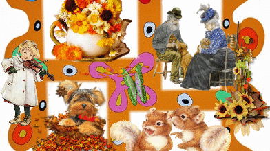 CADRES COLORE ANIMAUX