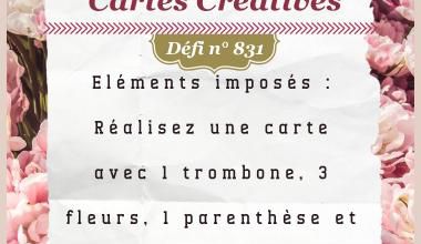 Passion Cartes Créatives#831 !