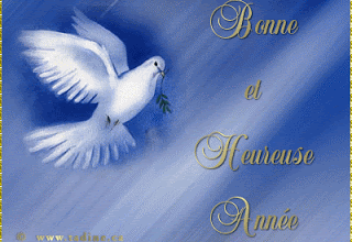 BONNE ANNEE!!