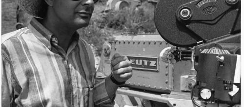 STANLEY DONEN BOX OFFICE