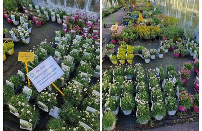 Les serres de Butry sur Oise