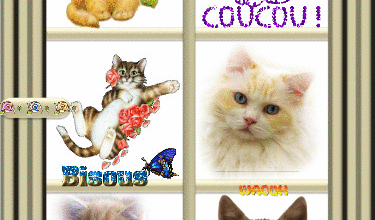 VITRES PETITS CHATS