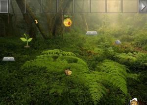 Wild african forest escape soluce