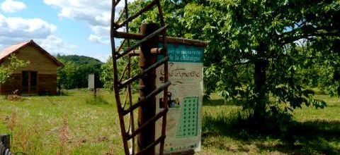 Dournazac 87 : La visite du verger-conservatoire, un lieu d'information sur le châtaignier et sur la gastronomie de son fruit  avec « le sentier de la châtaigne » 