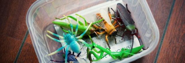 Un p'tit jeu sur les insectes (inspiration Montessori)