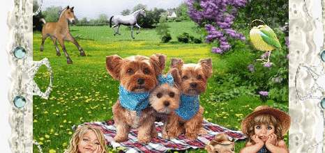 ANIMAUX ENFANTS CHEVAUX