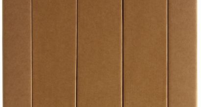 Denis Serre / Destruction ET Construction