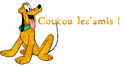 Mon G.T.  terminé !