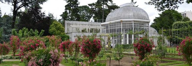 Jardins Albert Kahn : La Roseraie
