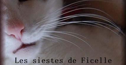Les siestes de Ficelle