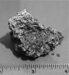 CE DEBRIS DE METEORITE EST LA PREUVE D'UNE VIE EXTRATERRESTRE