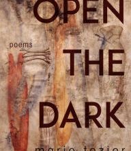 {epub download} Open the Dark