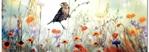 Pensée du jour (24)