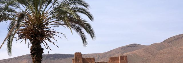 Oasis d'Aguinane 