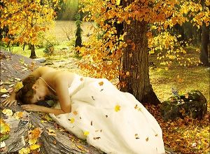 Automne précoce ...