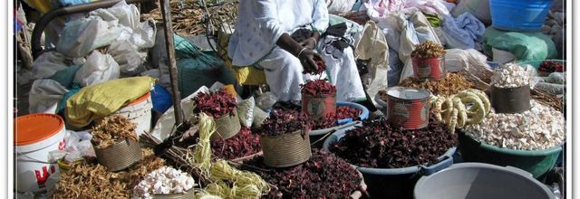 Un petit tour au marchés Sénégalais 