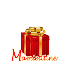 396 - Cadeau rouge et or