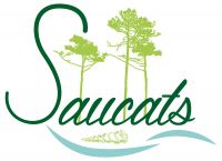 CR / RANDO 15 - SAUCATS 