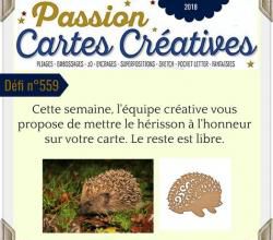 Passion cartes Créatives #559 !