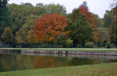 Rambouillet en manteau d’automne...