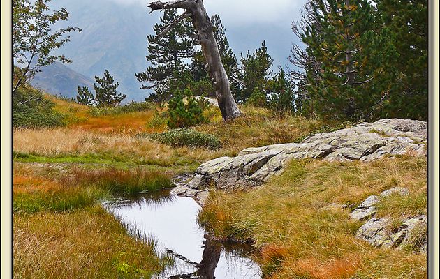 Paysages des Pyrénées (Année 2009)