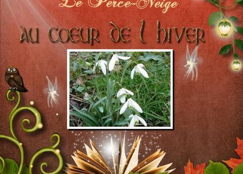 Vendredi 9 Janvier 2015