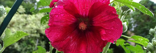 Le soleil est de retour