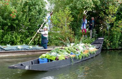 La fête des Hortillons (2)