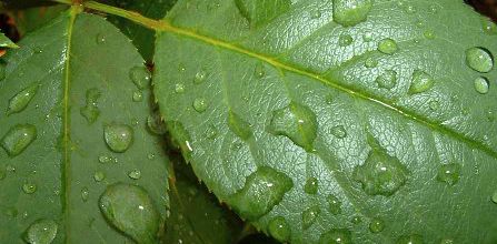 Pluie de septembre