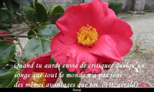 Critiquer .....