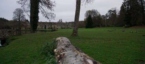 Interview exclusive du Maître de l'Abbaye