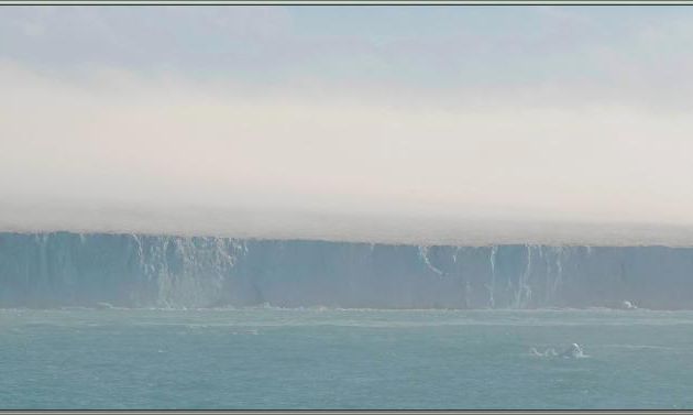 12/07/2024 : navigation le long du spectaculaire glacier Bråsvell (Bråsvellbreen) - Calotte glacière Austfonna - Nordaustlandet Island - Svalbard - Norvège