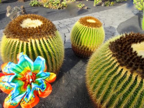 Ombrelles en bouquet