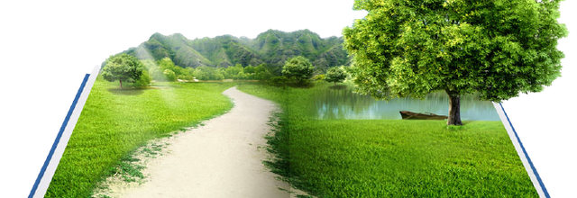 Ѽ Vegetation